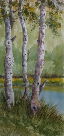 Trees by Susan Barry Aspens