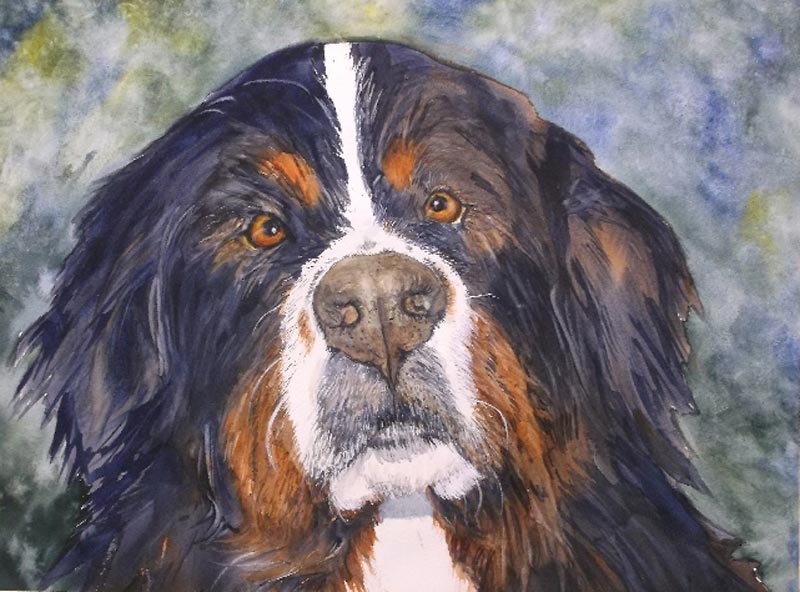 Bosco - animal painting