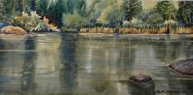 Hirschmann Pond by Susan Barry