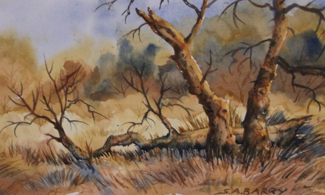Trees by Susan Barry- Old Forest