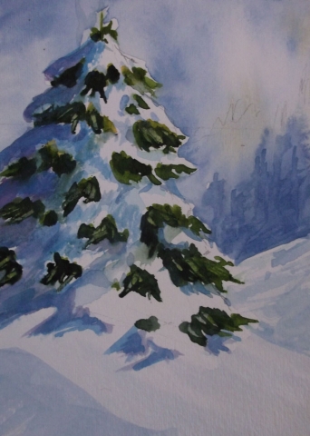 Trees by Susan Barry - Snow Covered